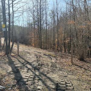 Photo #30 of 1200 Purcell, Reidsville, NC 64.9 acres