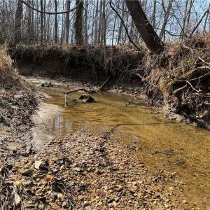 Photo #34 of 1200 Purcell, Reidsville, NC 64.9 acres