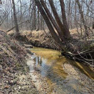 Photo #38 of 1200 Purcell, Reidsville, NC 64.9 acres