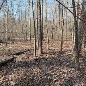 Photo #33 of 1200 Purcell, Reidsville, NC 64.9 acres