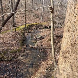 Photo #14 of 1200 Purcell, Reidsville, NC 64.9 acres