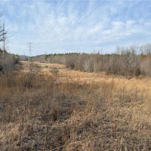 Photo #41 of 1200 Purcell, Reidsville, NC 64.9 acres