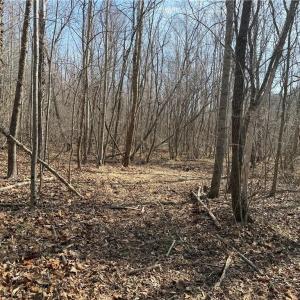 Photo #45 of 1200 Purcell, Reidsville, NC 64.9 acres