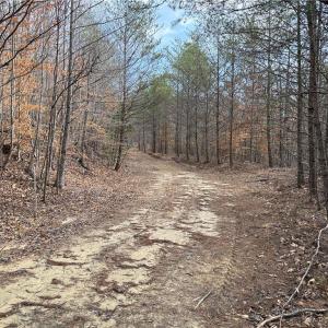 Photo #18 of 1200 Purcell, Reidsville, NC 64.9 acres