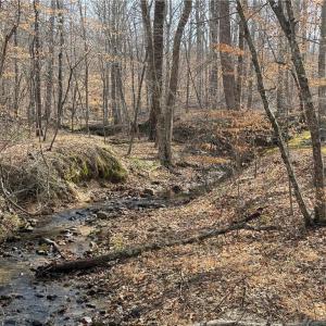 Photo #50 of 1200 Purcell, Reidsville, NC 64.9 acres