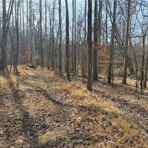 Photo #37 of 1200 Purcell, Reidsville, NC 64.9 acres