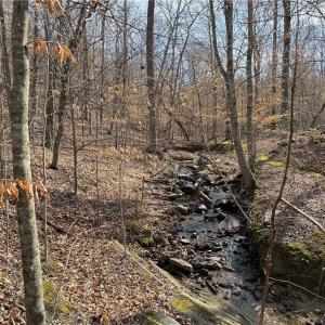 Photo #11 of 1200 Purcell, Reidsville, NC 64.9 acres