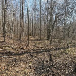 Photo #44 of 1200 Purcell, Reidsville, NC 64.9 acres