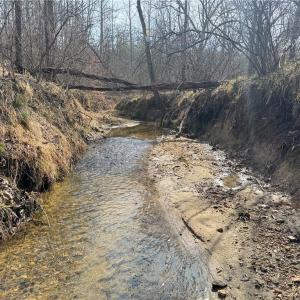 Photo #35 of 1200 Purcell, Reidsville, NC 64.9 acres