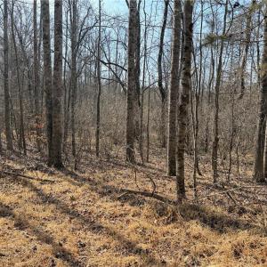 Photo #39 of 1200 Purcell, Reidsville, NC 64.9 acres
