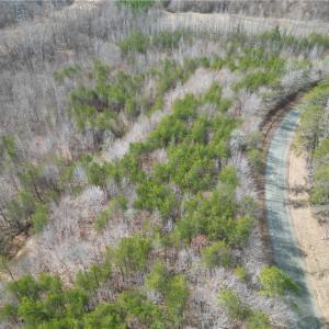 Photo #29 of 1200 Purcell, Reidsville, NC 64.9 acres