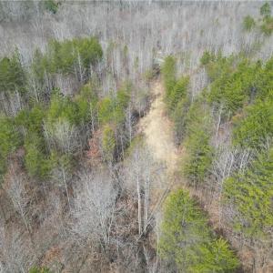 Photo #21 of 1200 Purcell, Reidsville, NC 64.9 acres