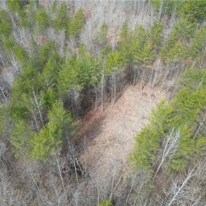 Photo #23 of 1200 Purcell, Reidsville, NC 64.9 acres