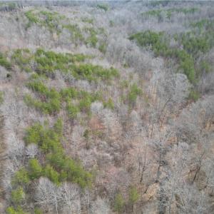 Photo #27 of 1200 Purcell, Reidsville, NC 64.9 acres