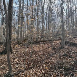 Photo #43 of 1200 Purcell, Reidsville, NC 64.9 acres