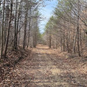 Photo #16 of 1200 Purcell, Reidsville, NC 64.9 acres