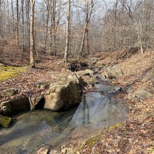 Photo #12 of 1200 Purcell, Reidsville, NC 64.9 acres