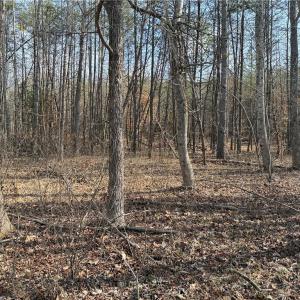 Photo #36 of 1200 Purcell, Reidsville, NC 64.9 acres
