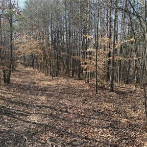 Photo #32 of 1200 Purcell, Reidsville, NC 64.9 acres