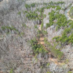 Photo #28 of 1200 Purcell, Reidsville, NC 64.9 acres