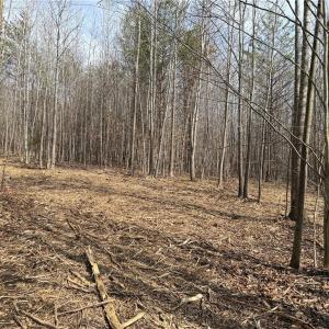 Photo #5 of 1200 Purcell, Reidsville, NC 64.9 acres