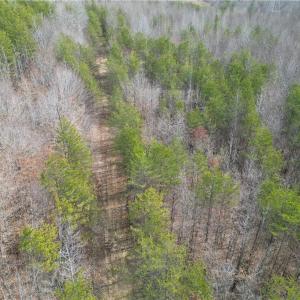 Photo #20 of 1200 Purcell, Reidsville, NC 64.9 acres