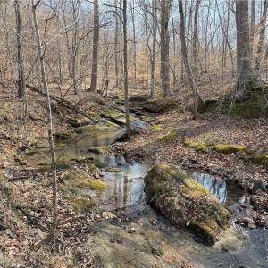 Photo #9 of 1200 Purcell, Reidsville, NC 64.9 acres