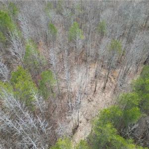 Photo #24 of 1200 Purcell, Reidsville, NC 64.9 acres