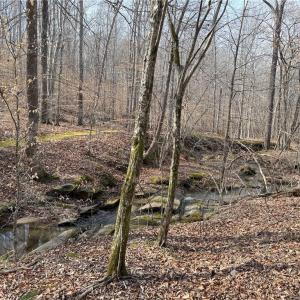 Photo #10 of 1200 Purcell, Reidsville, NC 64.9 acres