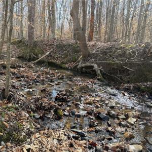 Photo #49 of 1200 Purcell, Reidsville, NC 64.9 acres