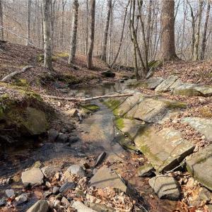 Photo #15 of 1200 Purcell, Reidsville, NC 64.9 acres