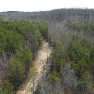 Photo #19 of 1200 Purcell, Reidsville, NC 64.9 acres