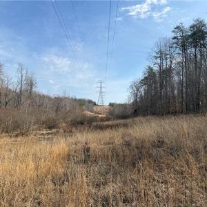 Photo #40 of 1200 Purcell, Reidsville, NC 64.9 acres