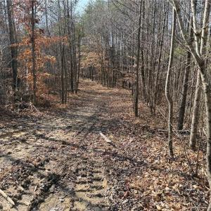 Photo #31 of 1200 Purcell, Reidsville, NC 64.9 acres