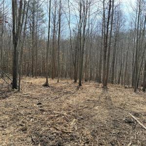 Photo #4 of 1200 Purcell, Reidsville, NC 64.9 acres