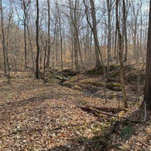 Photo #8 of 1200 Purcell, Reidsville, NC 64.9 acres