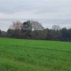 Photo #2 of 650 Farmers Market, Biscoe, NC 75.9 acres