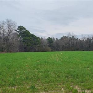 Photo #13 of 650 Farmers Market, Biscoe, NC 75.9 acres