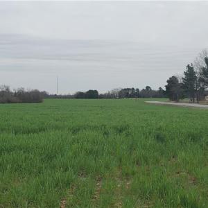 Photo #12 of 650 Farmers Market, Biscoe, NC 75.9 acres