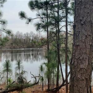 Photo #22 of 650 Farmers Market, Biscoe, NC 75.9 acres