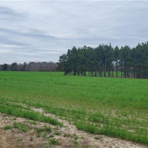 Photo #3 of 650 Farmers Market, Biscoe, NC 75.9 acres