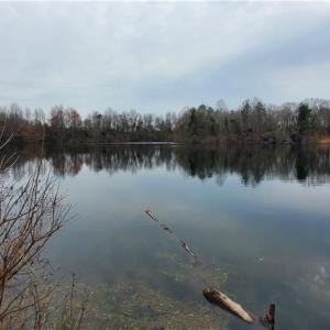 Photo #20 of 650 Farmers Market, Biscoe, NC 75.9 acres