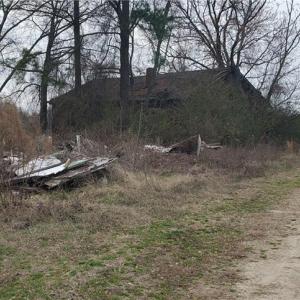 Photo #24 of 650 Farmers Market, Biscoe, NC 75.9 acres