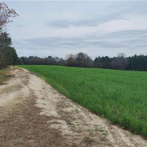 Photo #10 of 650 Farmers Market, Biscoe, NC 75.9 acres