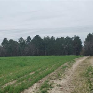 Photo #14 of 650 Farmers Market, Biscoe, NC 75.9 acres