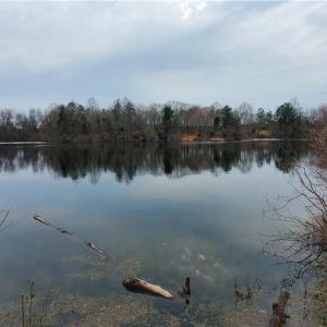 Photo #19 of 650 Farmers Market, Biscoe, NC 75.9 acres