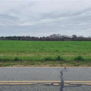 Photo #8 of 650 Farmers Market, Biscoe, NC 75.9 acres