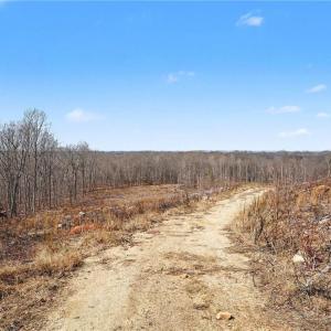 Photo #5 of HOLDER INMAN, Randleman, NC 12.6 acres