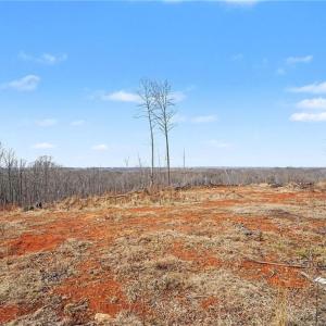 Photo #10 of HOLDER INMAN, Randleman, NC 12.6 acres