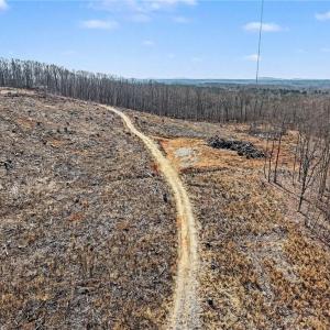 Photo #18 of HOLDER INMAN, Randleman, NC 12.6 acres